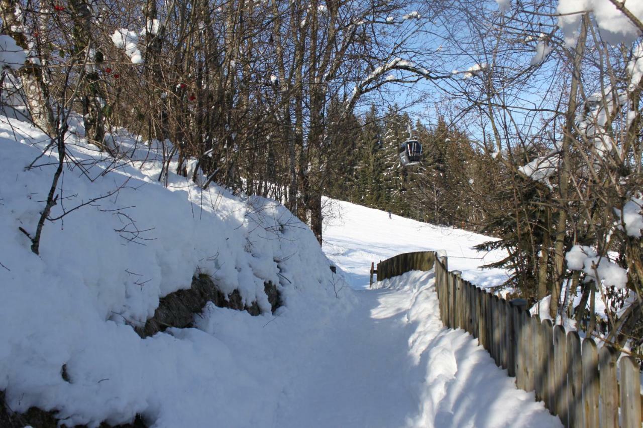 Living Am Achterjet Appartement Flachau